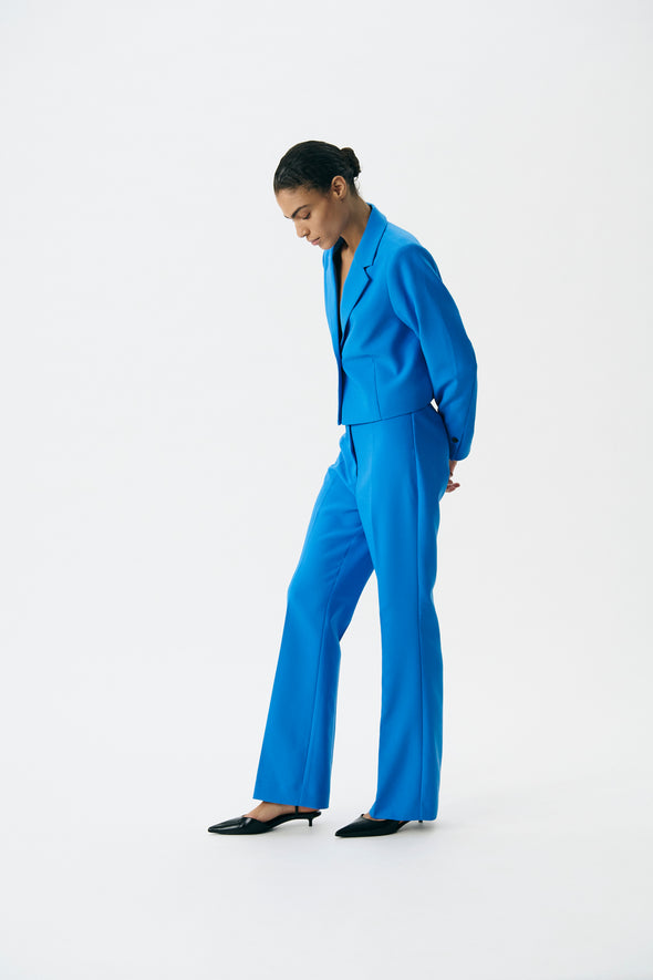 Corinne palace blue pants