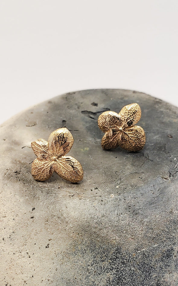 Stud earrings Hydrangea flowers in bronze