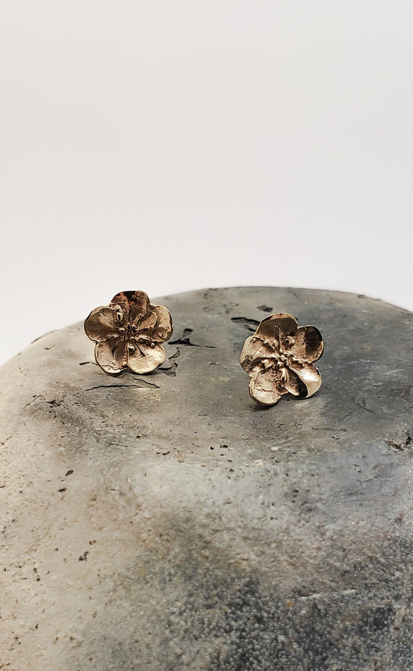 Stud earrings Forget-me-not flowers in bronze